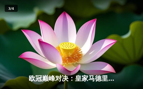 欧冠巅峰对决：皇家马德里加时鏖战3-2险胜拜仁慕尼黑，本泽马双响定乾坤 - 3